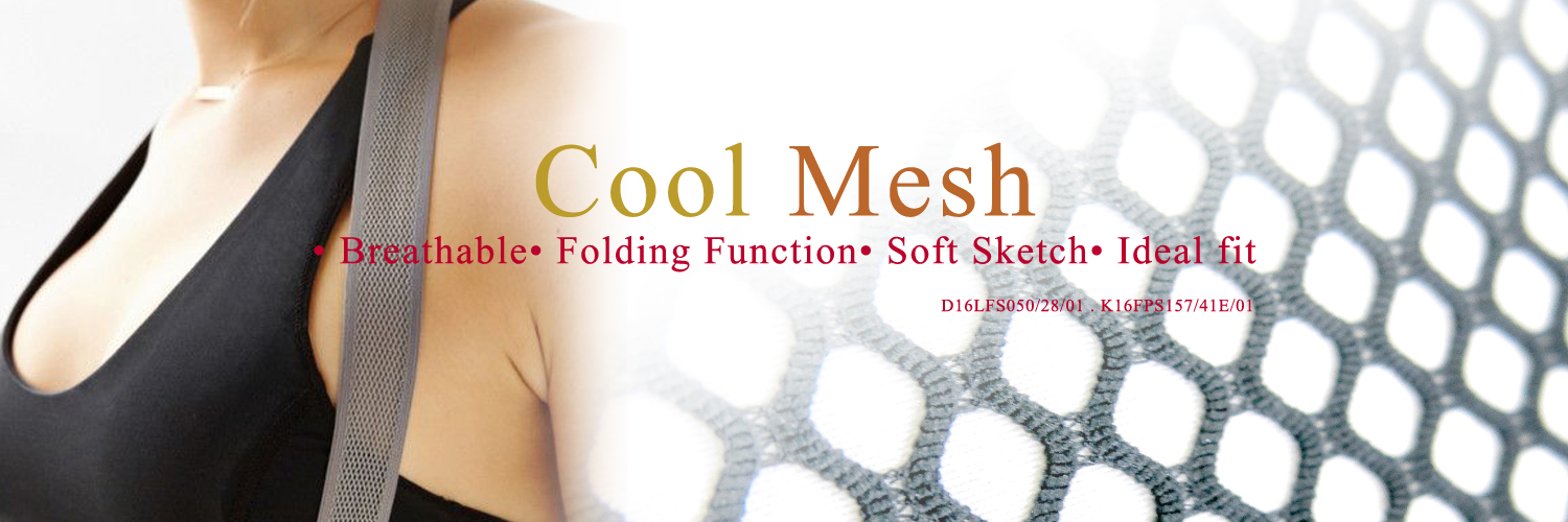 Cool Mesh(图1)